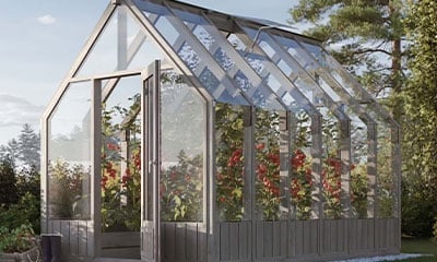 Culture de tomates en serre