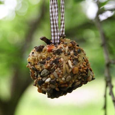 Boules de graines, activité ludique au jardin