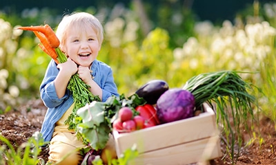Récolte de légumes au jardin