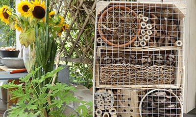 Hotel à insectes